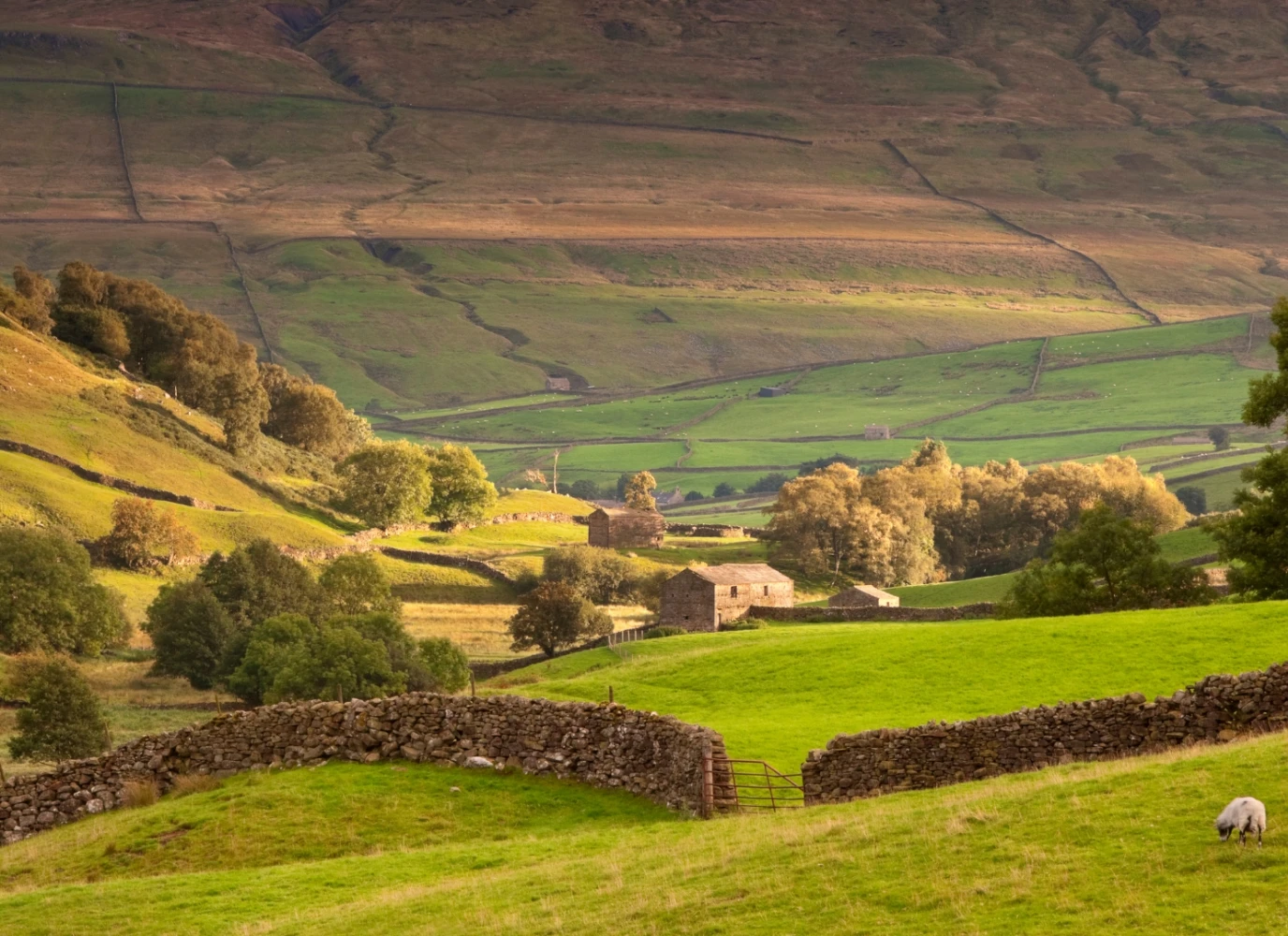 Property Market Updates: Q1  - Hardisty