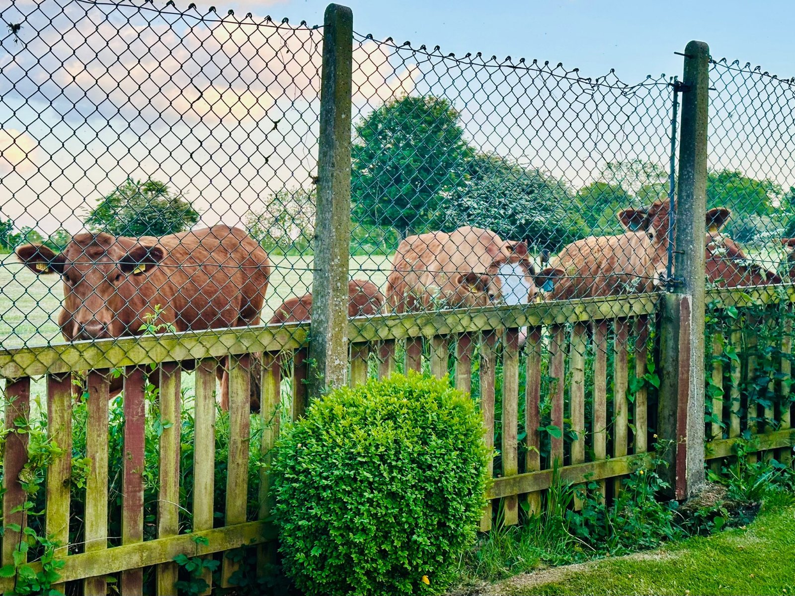 Monson Avenue, Calverley, Pudsey, West Yorkshire, LS28