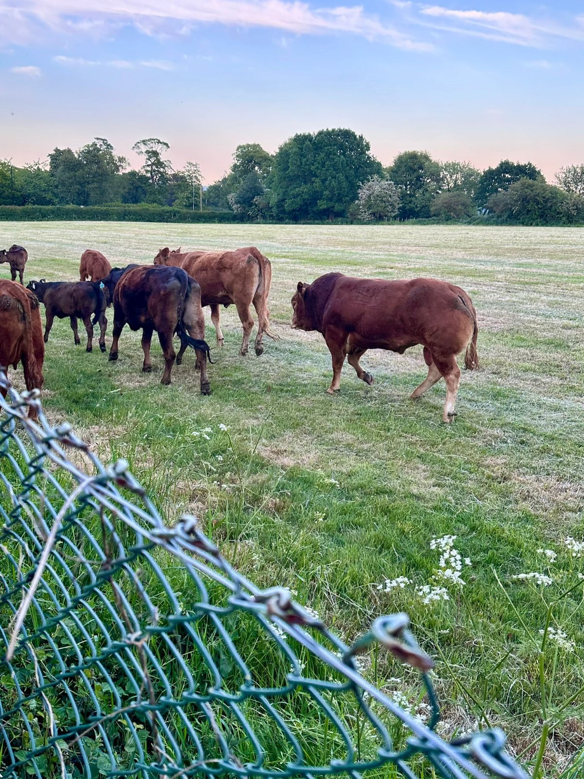 Monson Avenue, Calverley, Pudsey, West Yorkshire, LS28