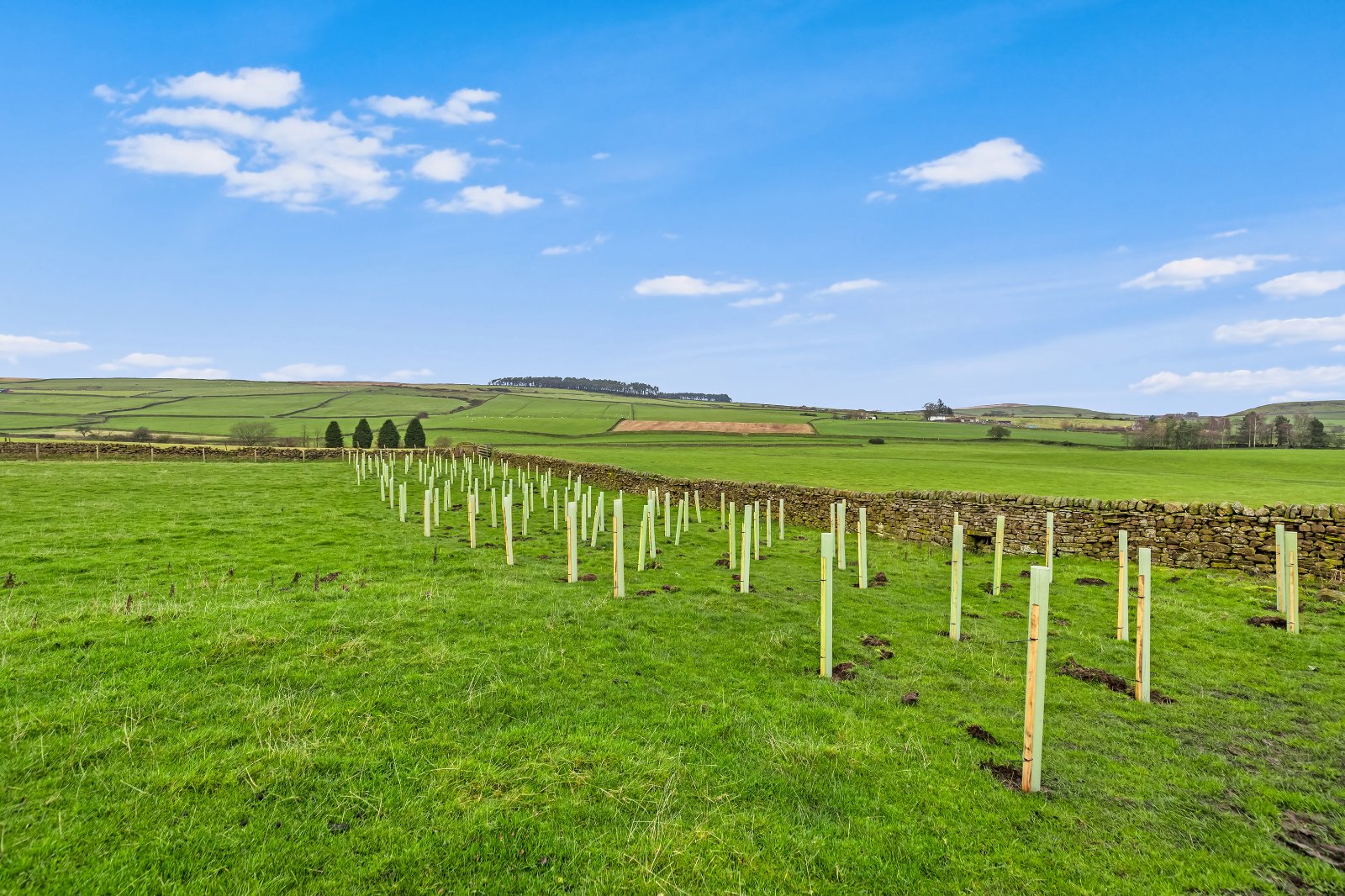 Green Lane, Silsden, Keighley, West Yorkshire, BD20