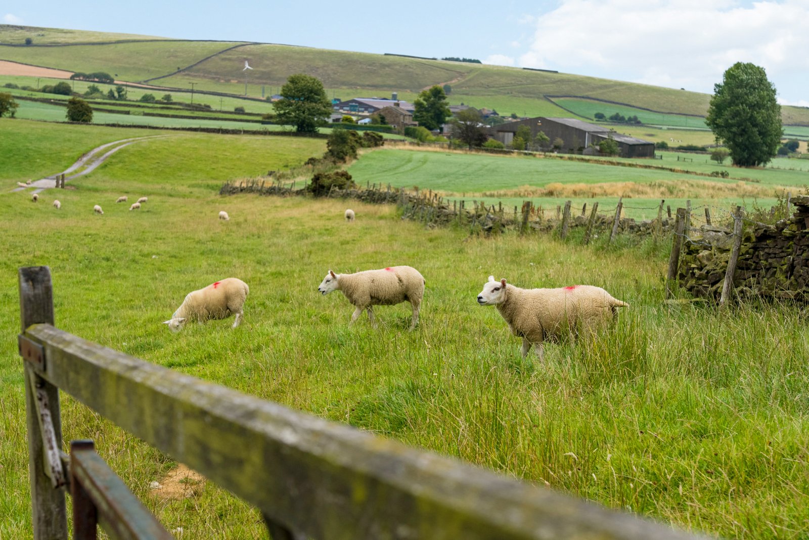 Green Lane, Silsden, Keighley, West Yorkshire, BD20