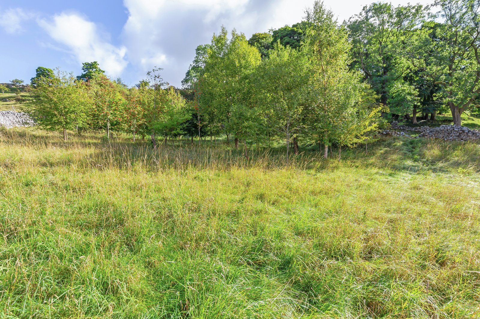 Coates Lane, Starbotton, Skipton, North Yorkshire, BD23
