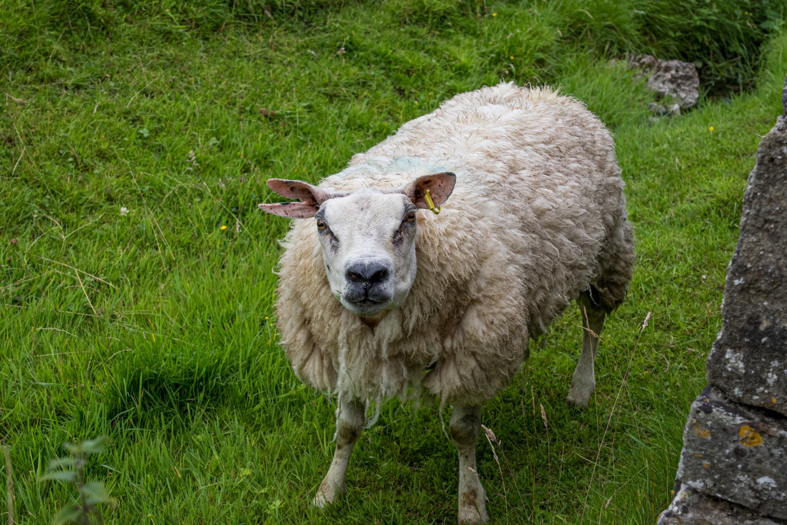 Airton, Skipton, North Yorkshire, BD23