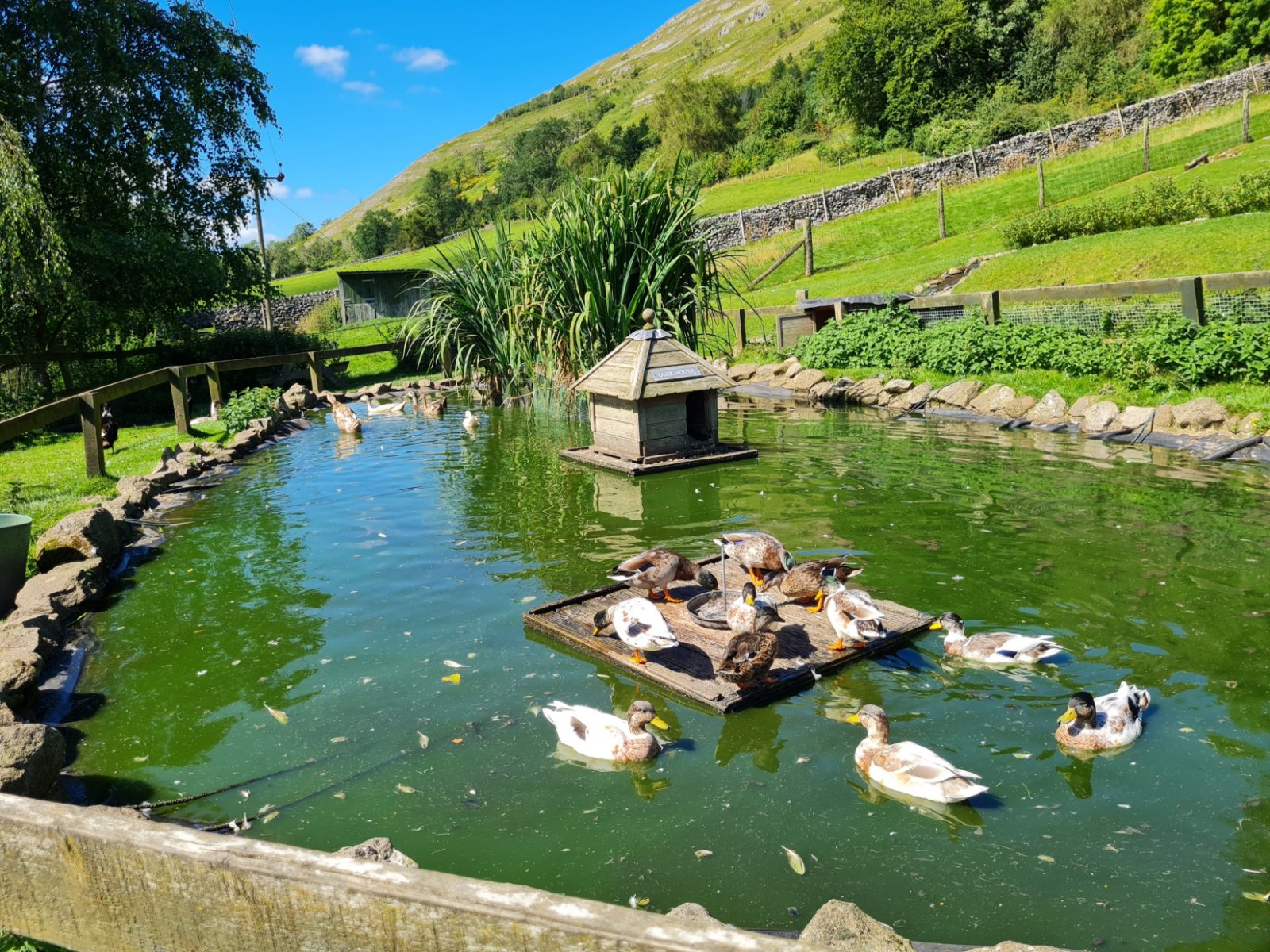 Hawkswick, Skipton, North Yorkshire, BD23