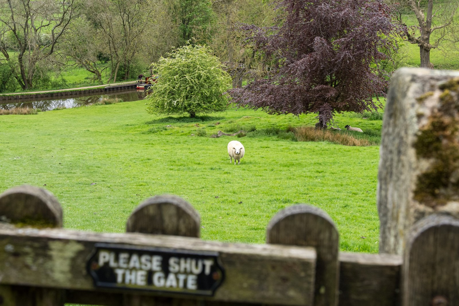 Main Street, Farnhill, Keighley, North Yorkshire, BD20