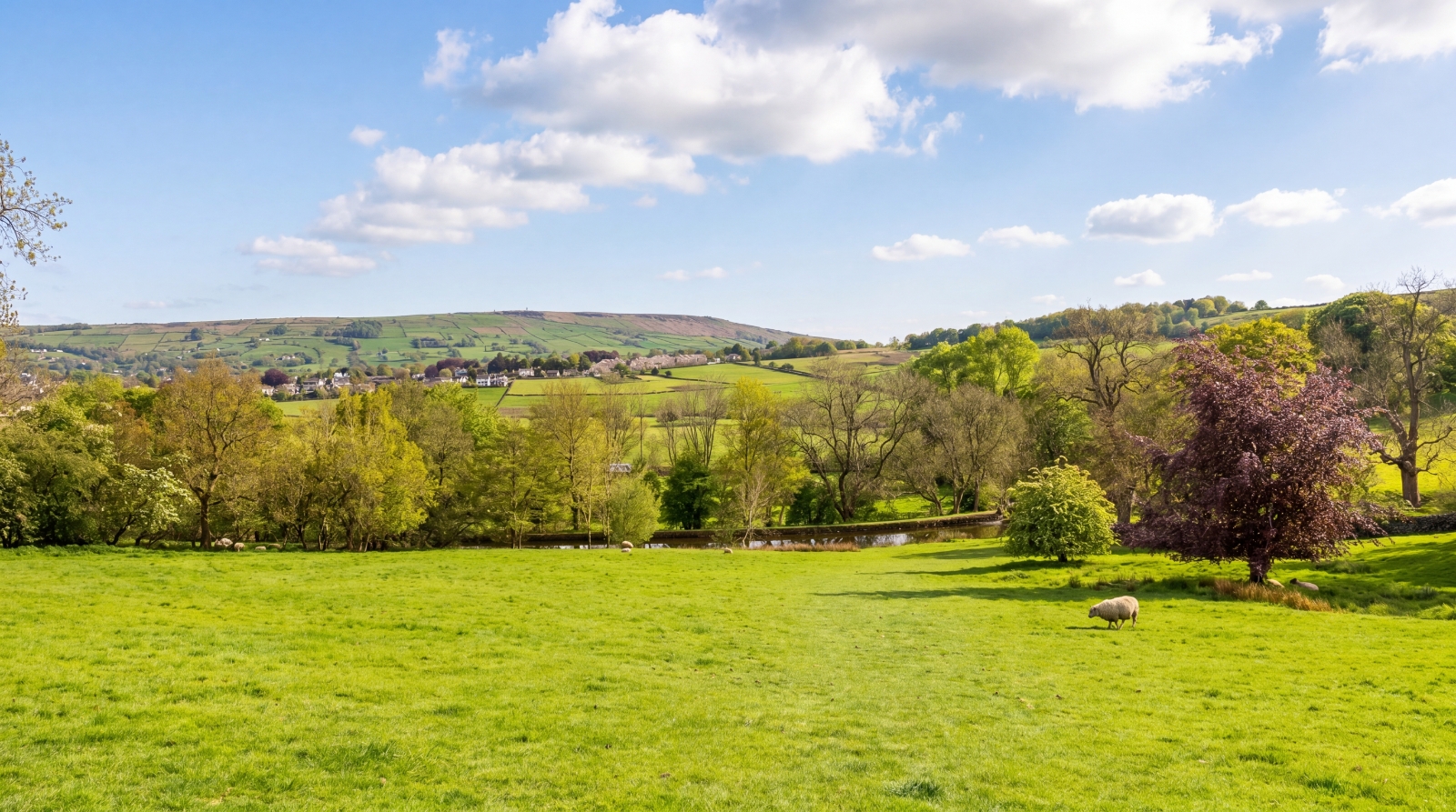 Main Street, Farnhill, Keighley, North Yorkshire, BD20